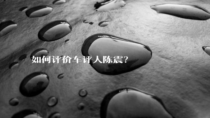 如何评价车评人陈震？