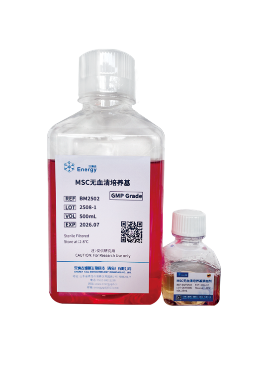 GMP级—人间充质干细胞（MSC）培养试剂盒